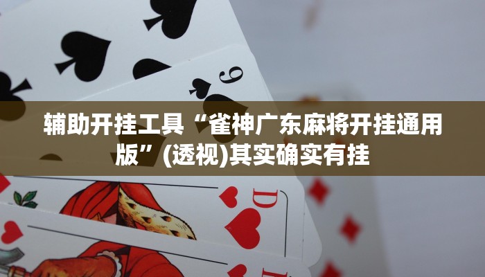 辅助开挂工具“雀神广东麻将开挂通用版”(透视)其实确实有挂 辅助开挂工具“雀神广东麻将开挂通用版”(透视)其实确实有挂