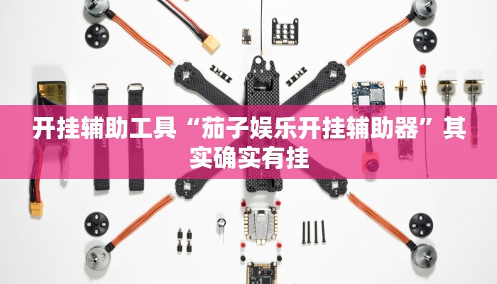 开挂辅助工具“茄子娱乐开挂辅助器”其实确实有挂