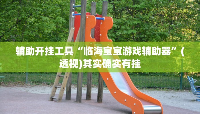 辅助开挂工具“临海宝宝游戏辅助器”(透视)其实确实有挂