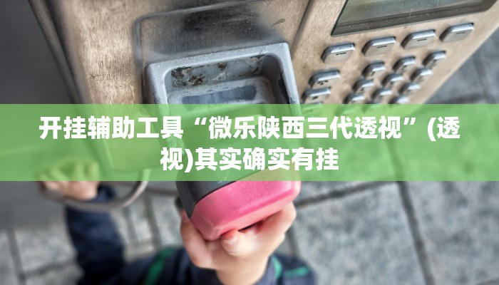 开挂辅助工具“微乐陕西三代透视”(透视)其实确实有挂