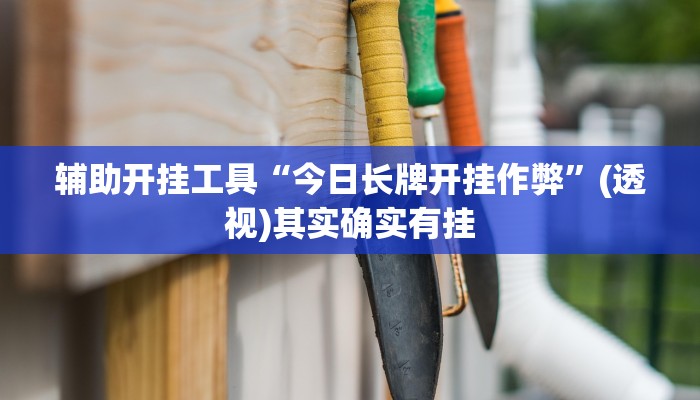 辅助开挂工具“今日长牌开挂作弊”(透视)其实确实有挂 辅助开挂工具“今日长牌开挂作弊”(透视)其实确实有挂