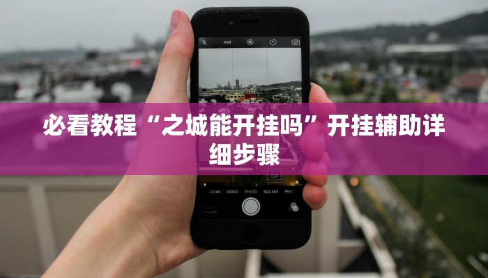 必看教程“之城能开挂吗”开挂辅助详细步骤