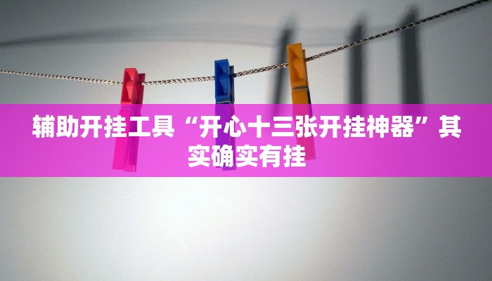 辅助开挂工具“开心十三张开挂神器”其实确实有挂