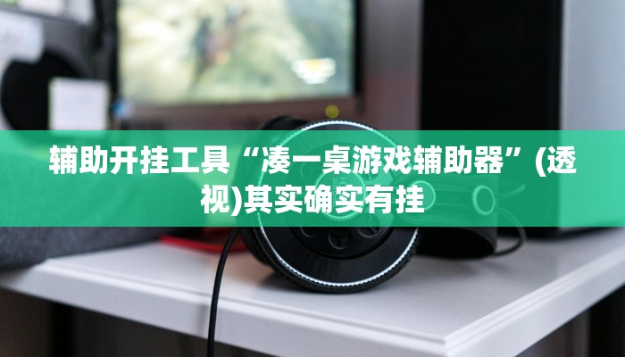 辅助开挂工具“凑一桌游戏辅助器”(透视)其实确实有挂