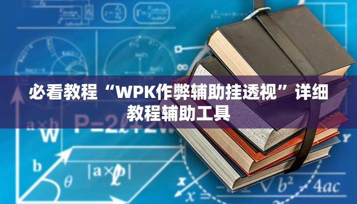 必看教程“WPK作弊辅助挂透视”详细教程辅助工具