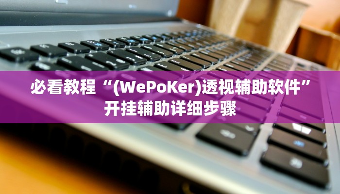 必看教程“(WePoKer)透视辅助软件”开挂辅助详细步骤