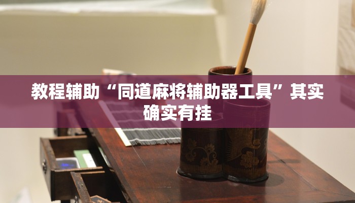 教程辅助“同道麻将辅助器工具”其实确实有挂