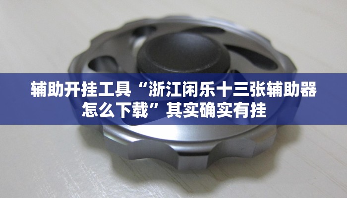 辅助开挂工具“浙江闲乐十三张辅助器怎么下载”其实确实有挂