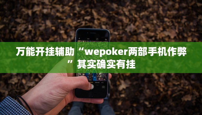 万能开挂辅助“wepoker两部手机作弊”其实确实有挂
