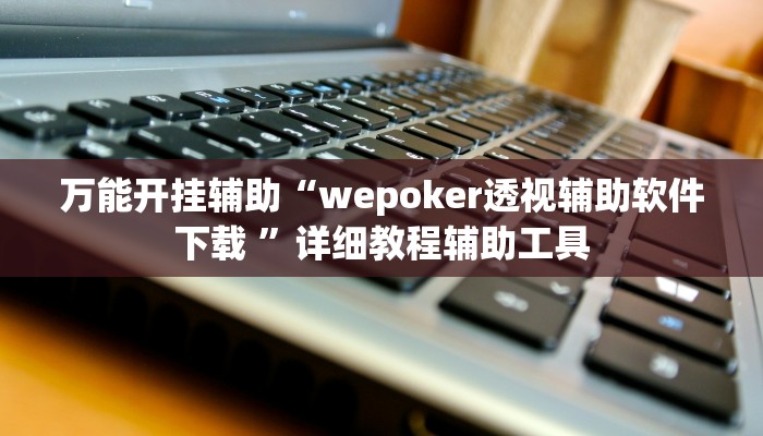 万能开挂辅助“wepoker透视辅助软件下载 ”详细教程辅助工具