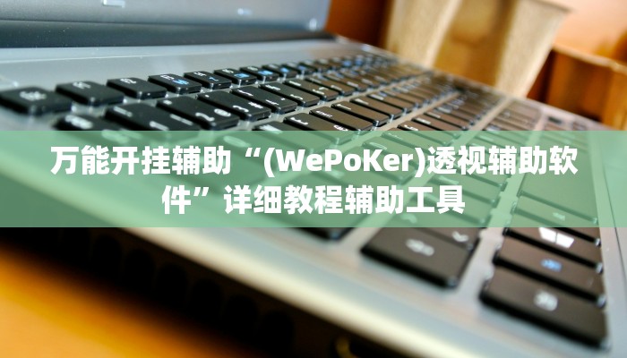 万能开挂辅助“(WePoKer)透视辅助软件”详细教程辅助工具